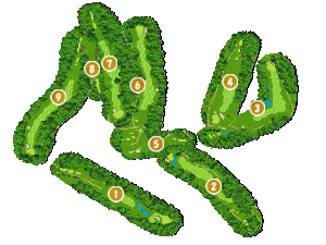 コース全体俯瞰図