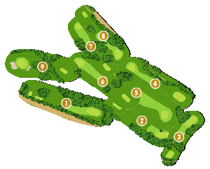 コース全体俯瞰図