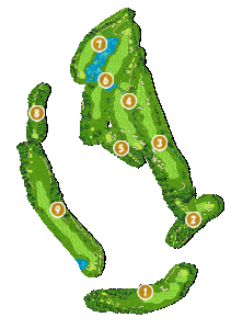 コース全体俯瞰図