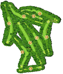 コース全体俯瞰図