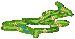 コース全体俯瞰図