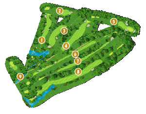 コース全体俯瞰図