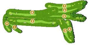 コース全体俯瞰図