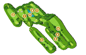 コース全体俯瞰図