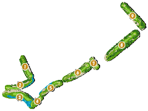 コース全体俯瞰図