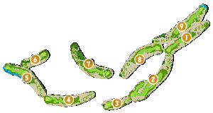 コース全体俯瞰図