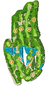 コース全体俯瞰図