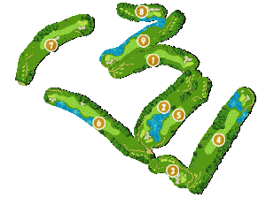 コース全体俯瞰図