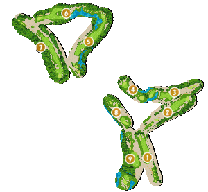 コース全体俯瞰図