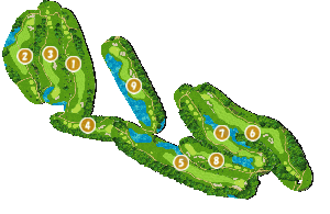 コース全体俯瞰図