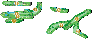 コース全体俯瞰図