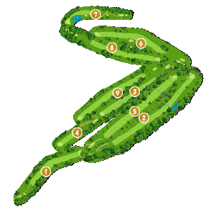 コース全体俯瞰図