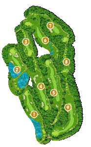 コース全体俯瞰図