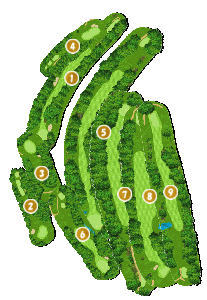 コース全体俯瞰図