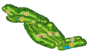 コース全体俯瞰図