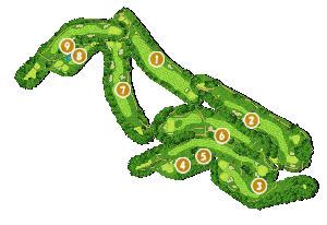 コース全体俯瞰図