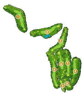 コース全体俯瞰図