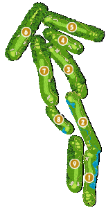 コース全体俯瞰図