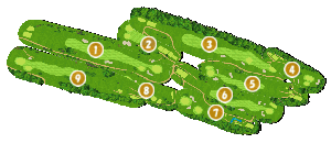 コース全体俯瞰図