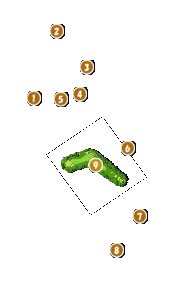 コース全体俯瞰図
