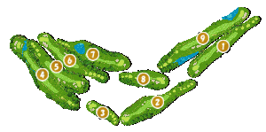 コース全体俯瞰図