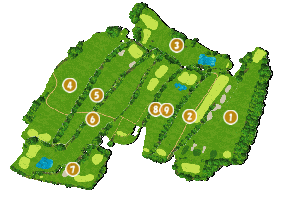 国際 レディース カート セール