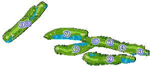 コース全体俯瞰図