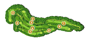 コース全体俯瞰図