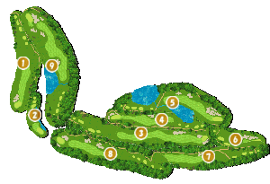 コース全体俯瞰図