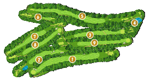 コース全体俯瞰図