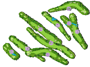 コース全体俯瞰図