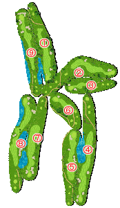 コース全体俯瞰図