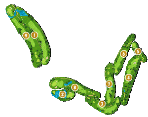 コース全体俯瞰図