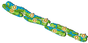 コース全体俯瞰図