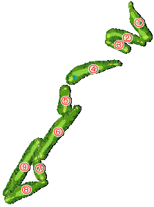 コース全体俯瞰図