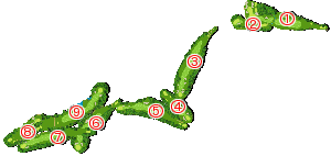 コース全体俯瞰図