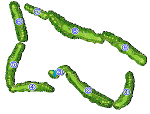 コース全体俯瞰図