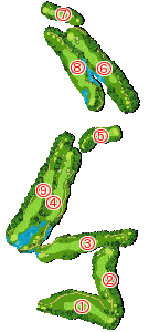 コース全体俯瞰図