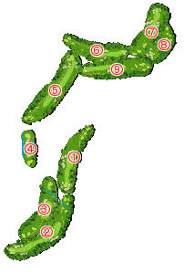 コース全体俯瞰図