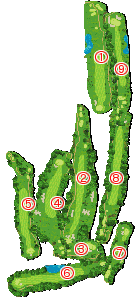 コース全体俯瞰図