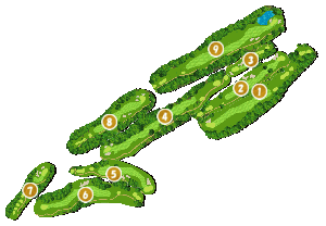 コース全体俯瞰図