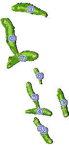 コース全体俯瞰図