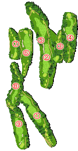 コース全体俯瞰図