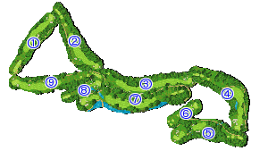 コース全体俯瞰図