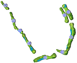 コース全体俯瞰図
