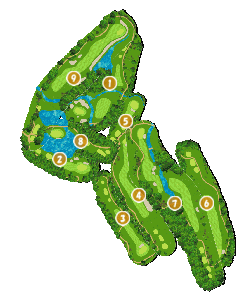 コース全体俯瞰図