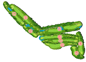 コース全体俯瞰図