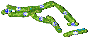 コース全体俯瞰図