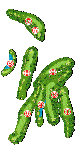 コース全体俯瞰図