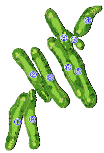 コース全体俯瞰図